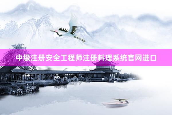 中级注册安全工程师注册料理系统官网进口